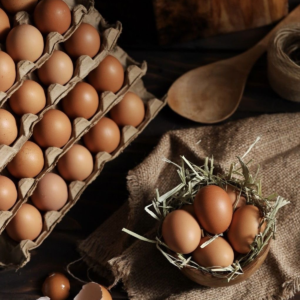 poulet fermier vivant poulet fermier vivant